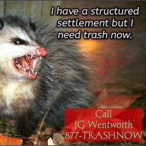 Meet your Posher, Jess